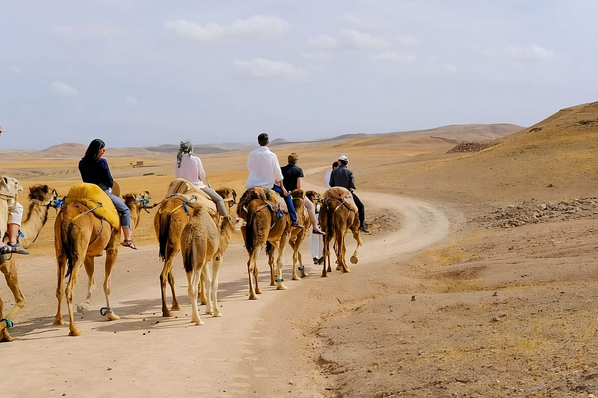 Agafay Desert Camel Ride Day Trip From Marrakech