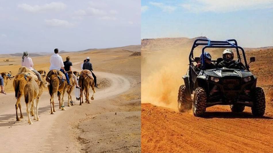 Agafay Desert Buggy & Camel Combined Day Trip